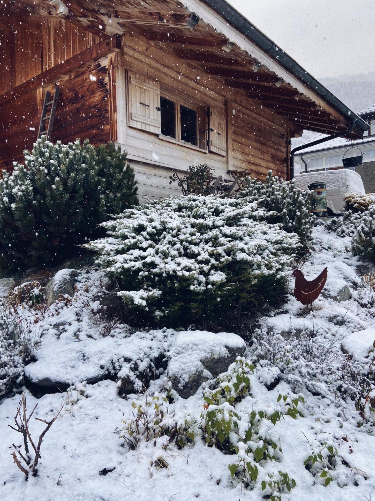 Grand Chalet A La Montagne 圣莫里斯堡 外观 照片